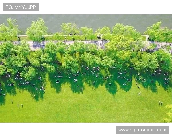 多特边路传中与禁区配合形成默契，最终完成建功——在绿色草坪上书写团队之光